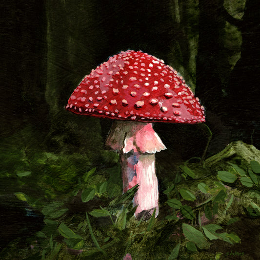 An art print featuring a red and white fly amanita mushroom in a forest.