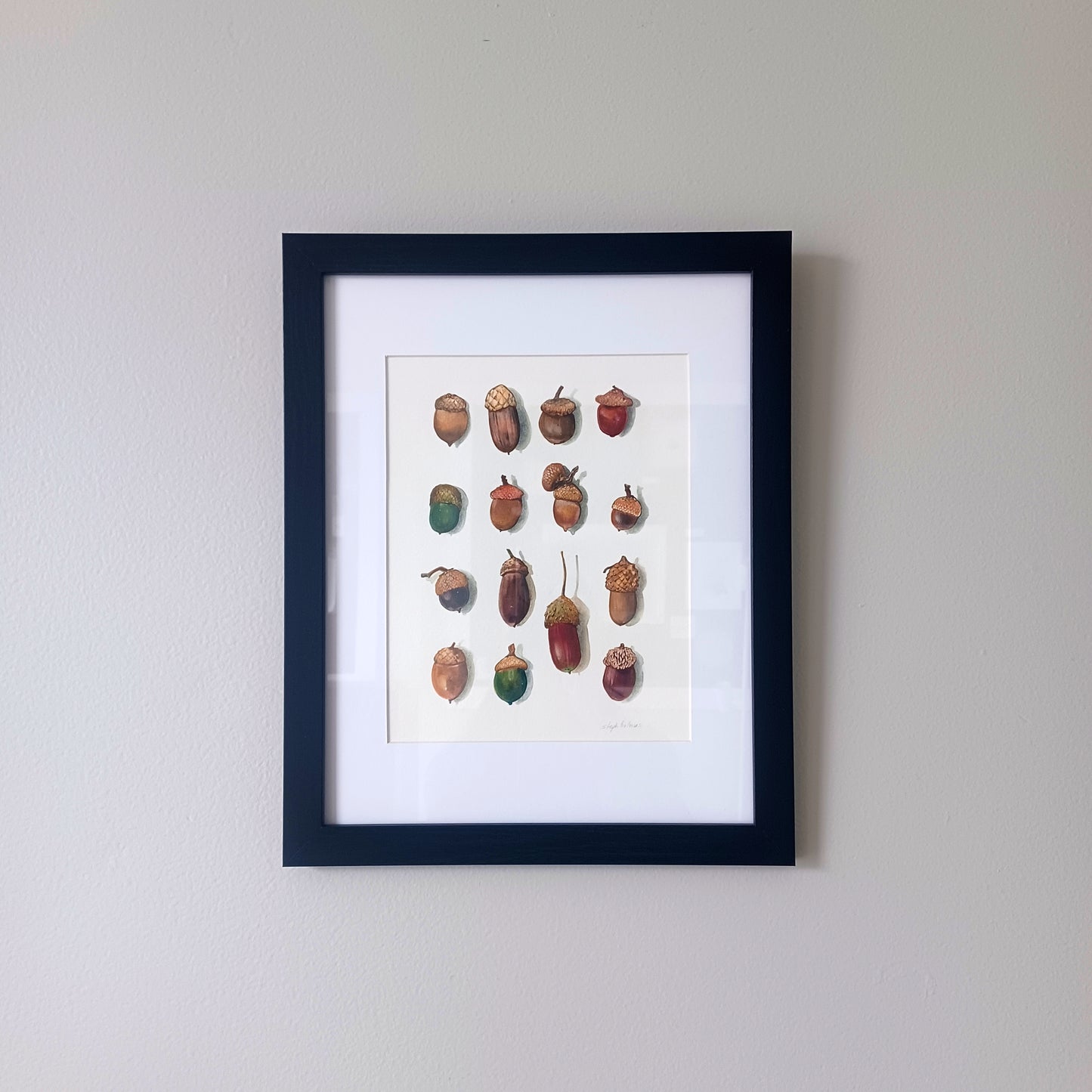 The Explorer's Acorn Collection print
