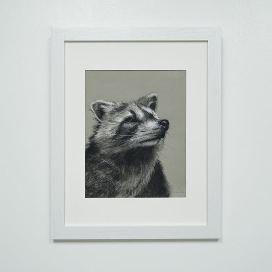 Raccoon in Charcoal original charcoal drawing