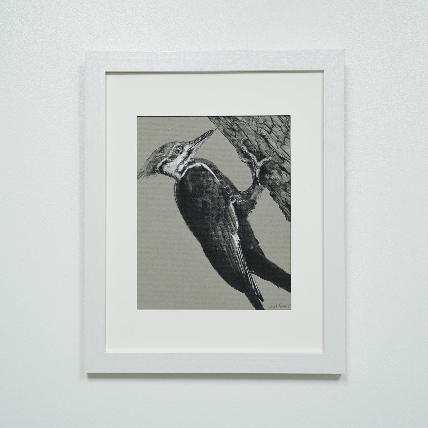 Pileated Woodpecker original charcoal drawing