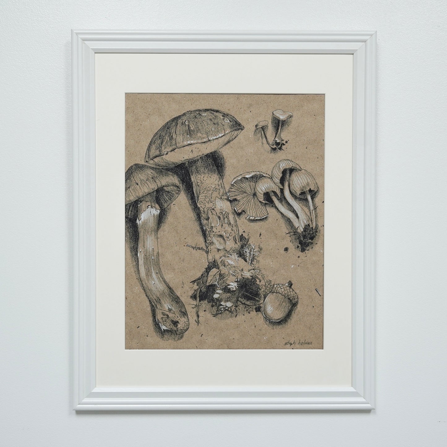 Mushroom Collection no.1 original charcoal drawing