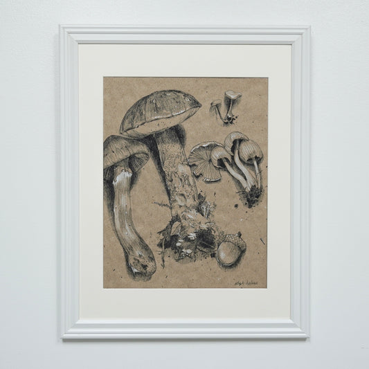 Mushroom Collection no.1 original charcoal drawing