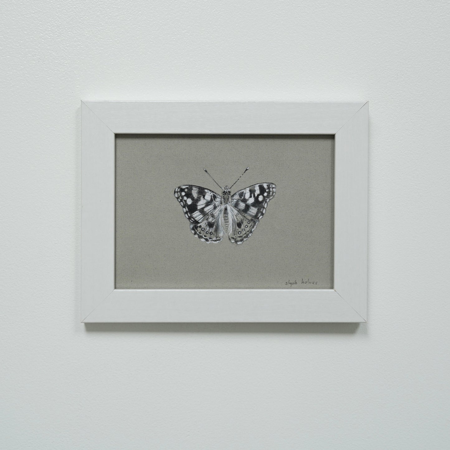 Painted Lady Butterfly no.2 original charcoal drawing