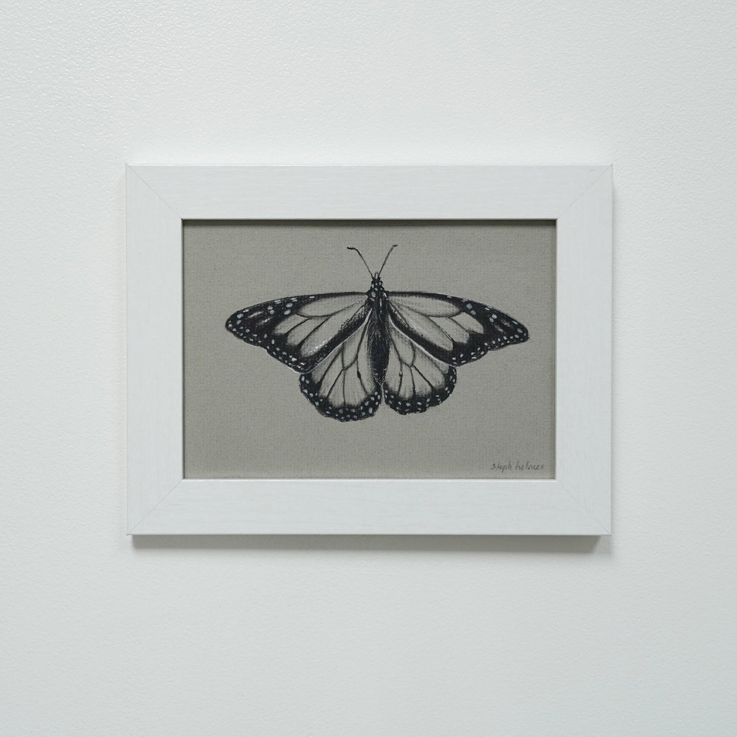Monarch Butterfly no.15 original charcoal drawing