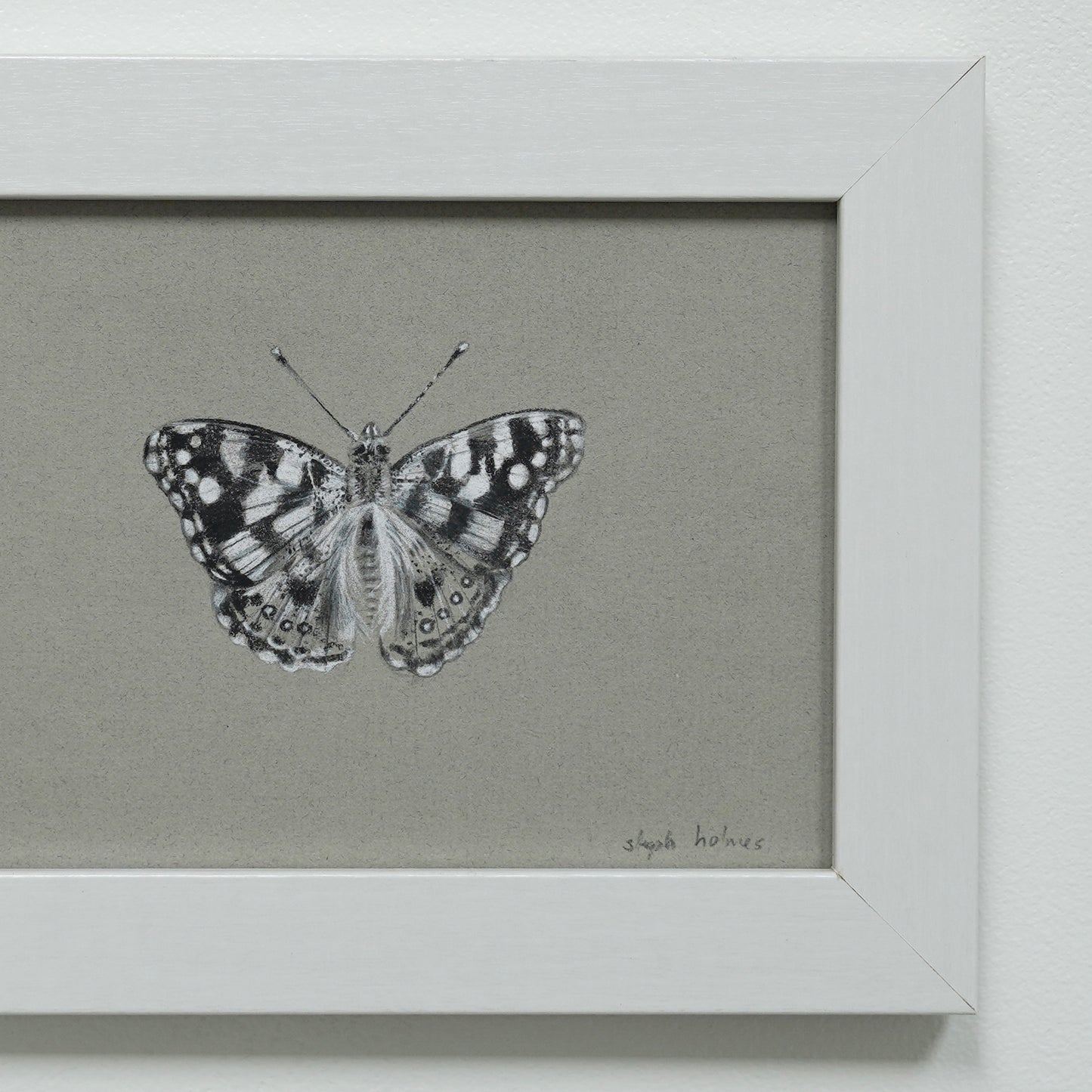 Painted Lady Butterfly no.2 original charcoal drawing