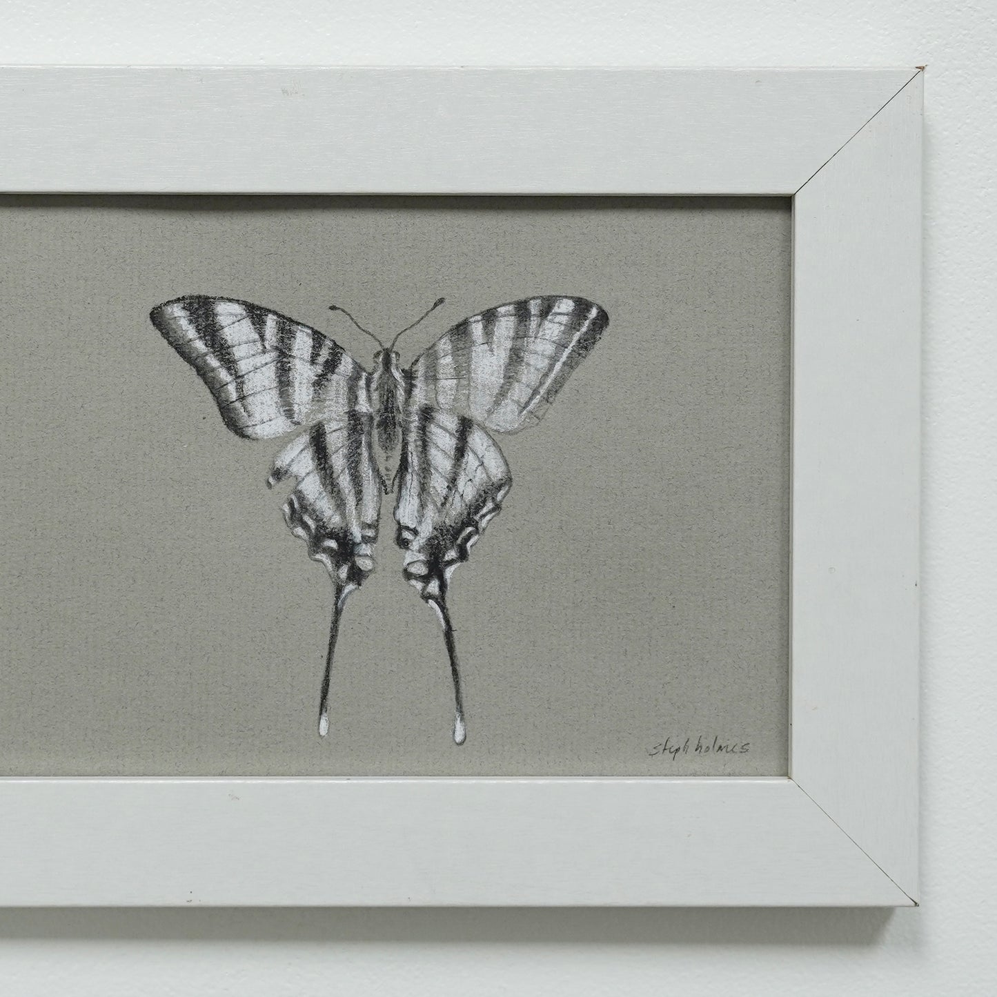 Zebra Swallowtail Butterfly no.2 original charcoal drawing