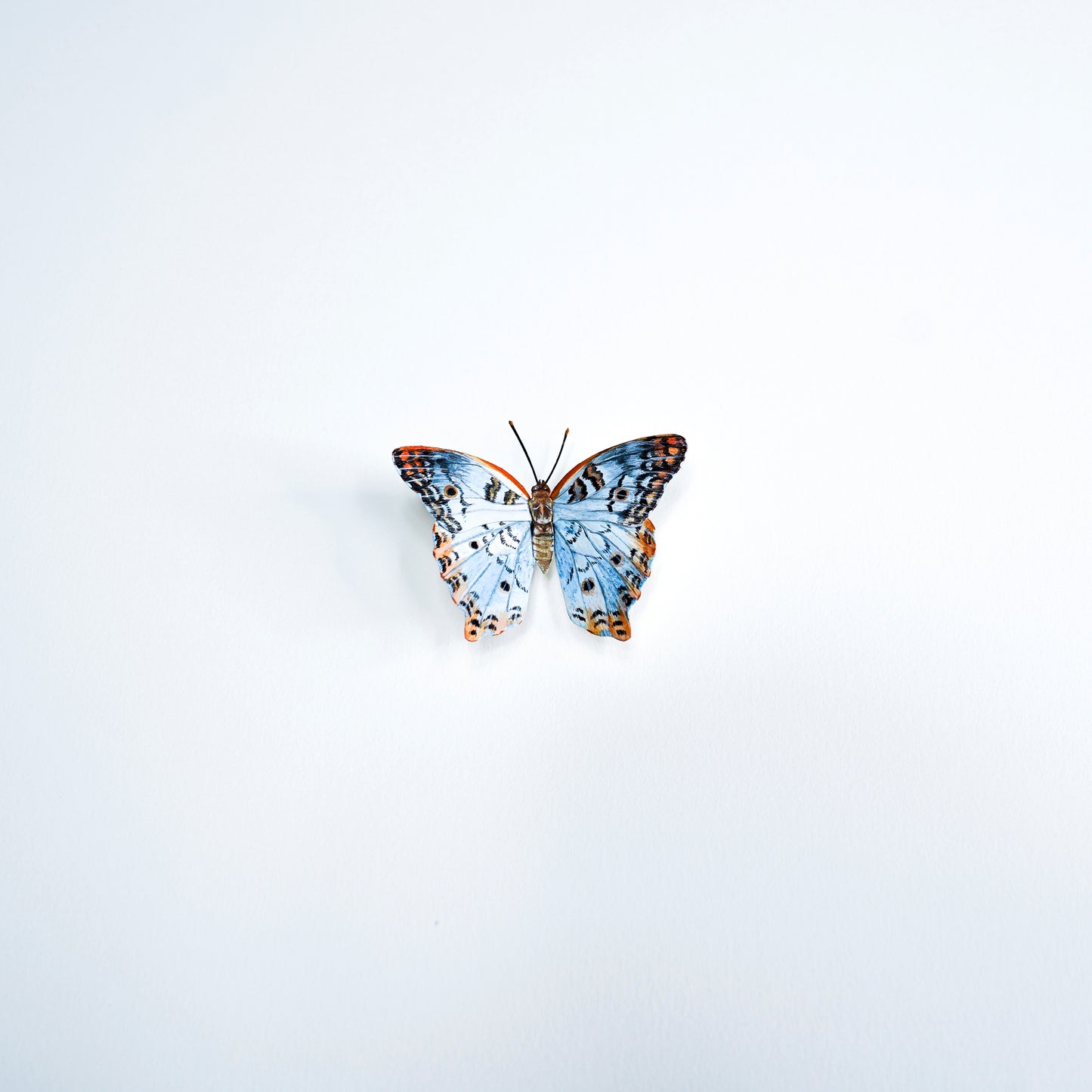 White Peacock Butterfly framed painted paper sculpture