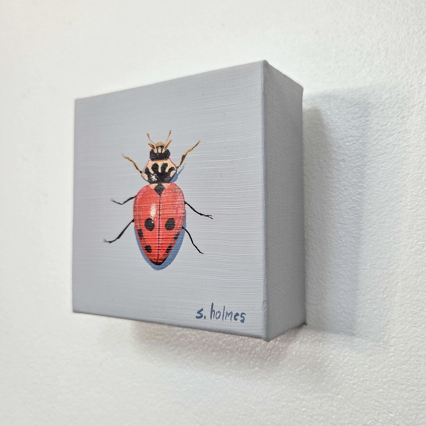 A small square gray canvas print mounted on a white textured wall, featuring a painted red ladybug with black spots and the signature 's. holmes' in blue at the bottom.