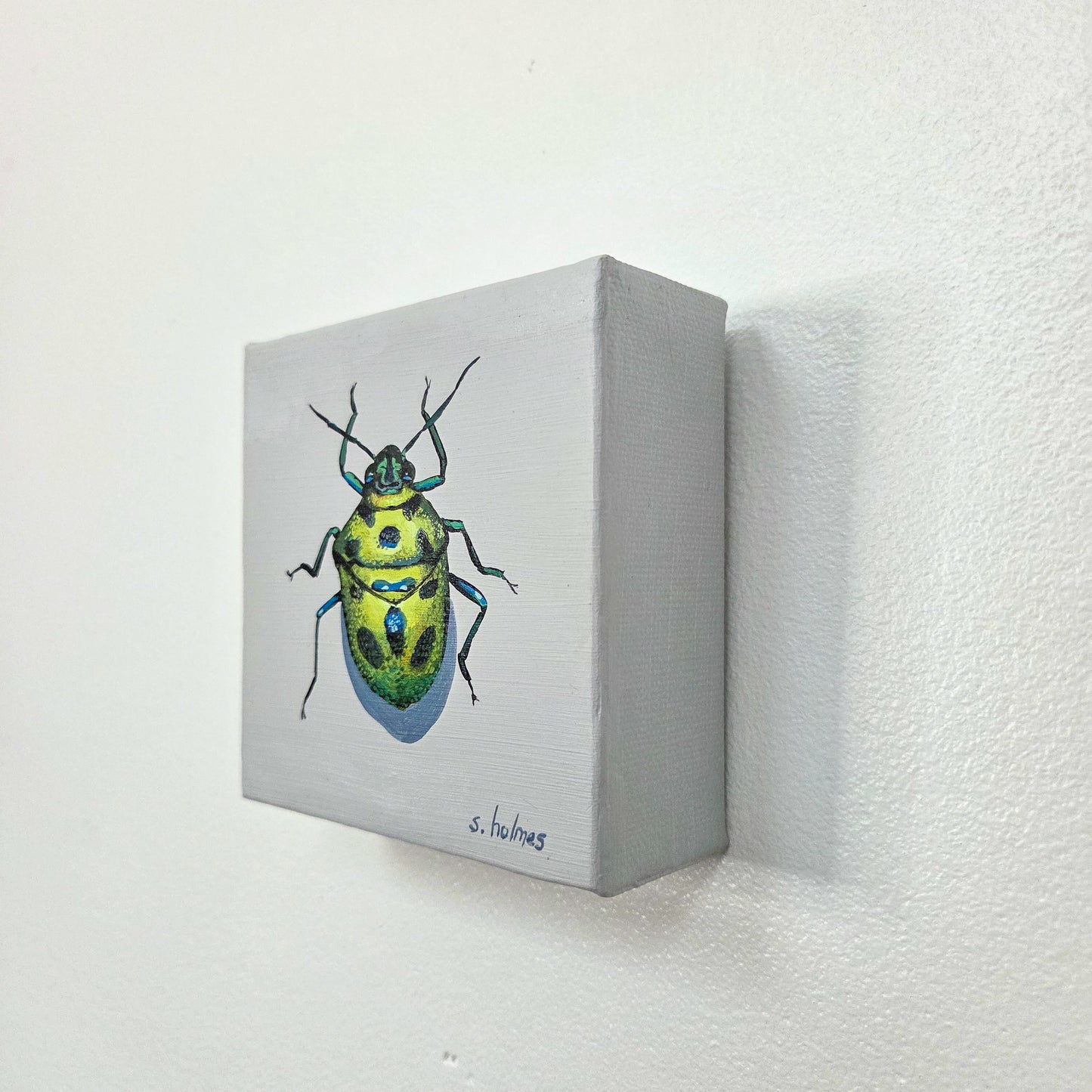 A small square canvas painting mounted on a white wall, featuring a detailed illustration of a green and yellow beetle with blue accents on a light gray background.