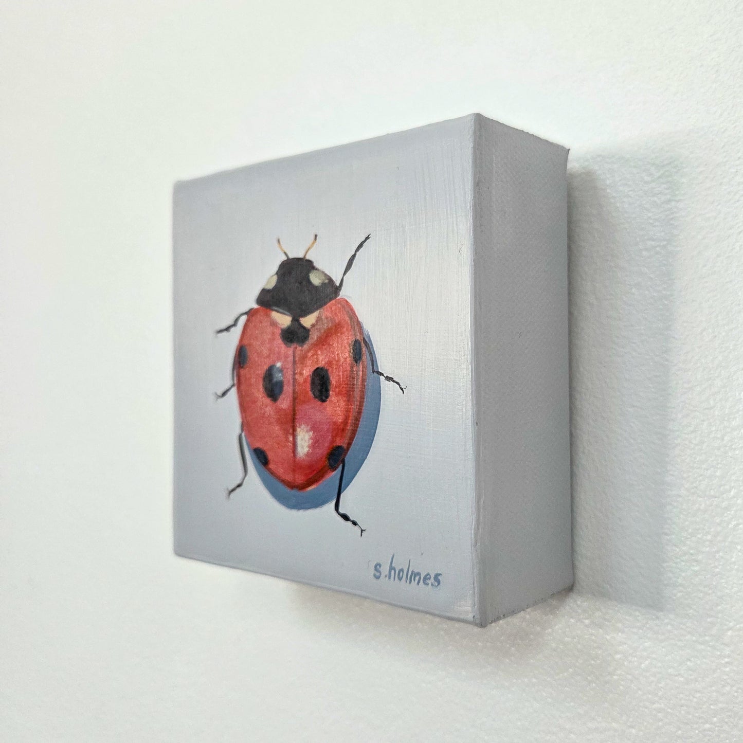 A small square canvas painting of a red ladybug with black spots on a light gray background, mounted on a white textured wall. The artist's signature 's.