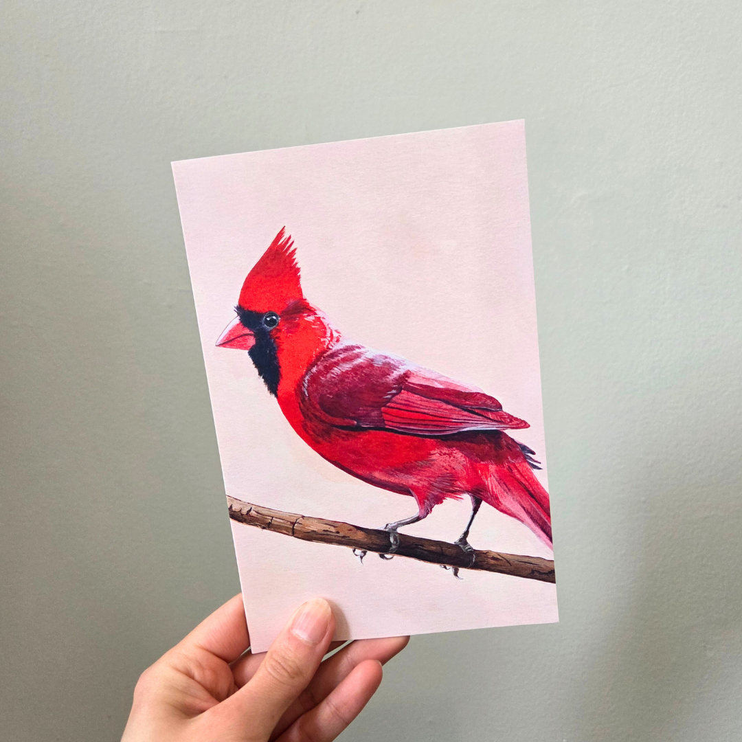 Northen Cardinal greeting card