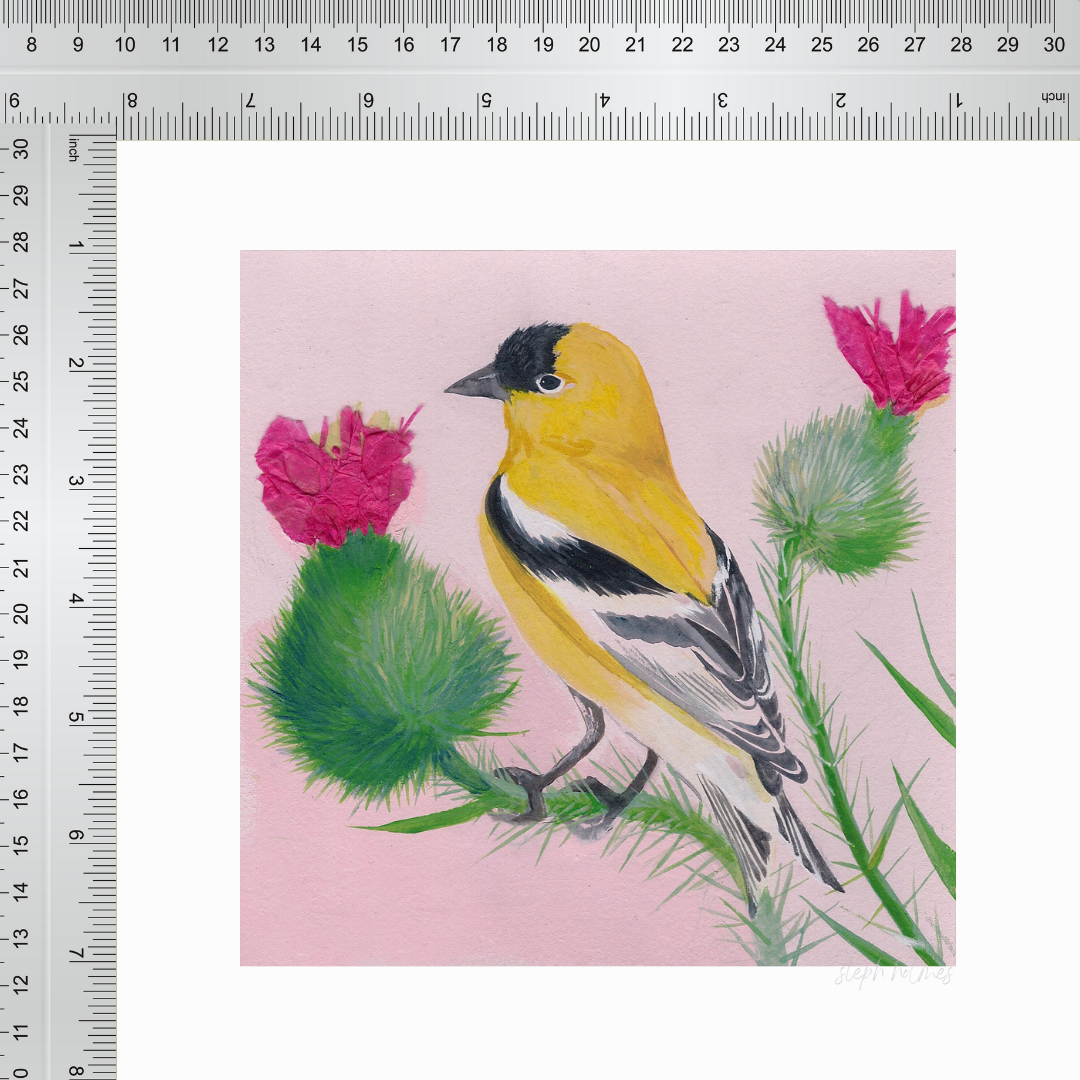 An art print featuring an American Goldfinch with a ruler border for measurement.