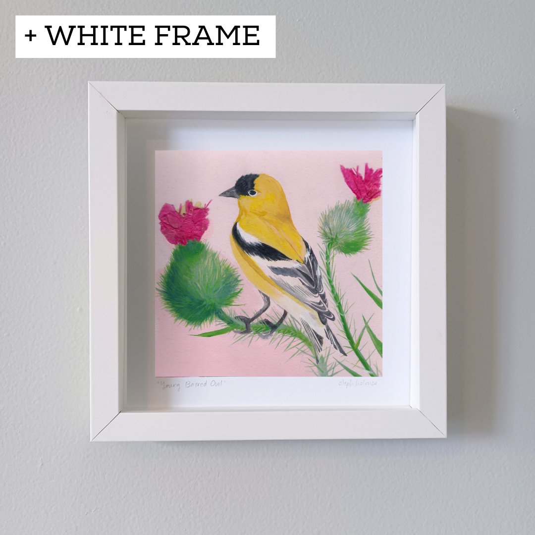 An art print of an American Goldfinch in a white frame on a white wall.