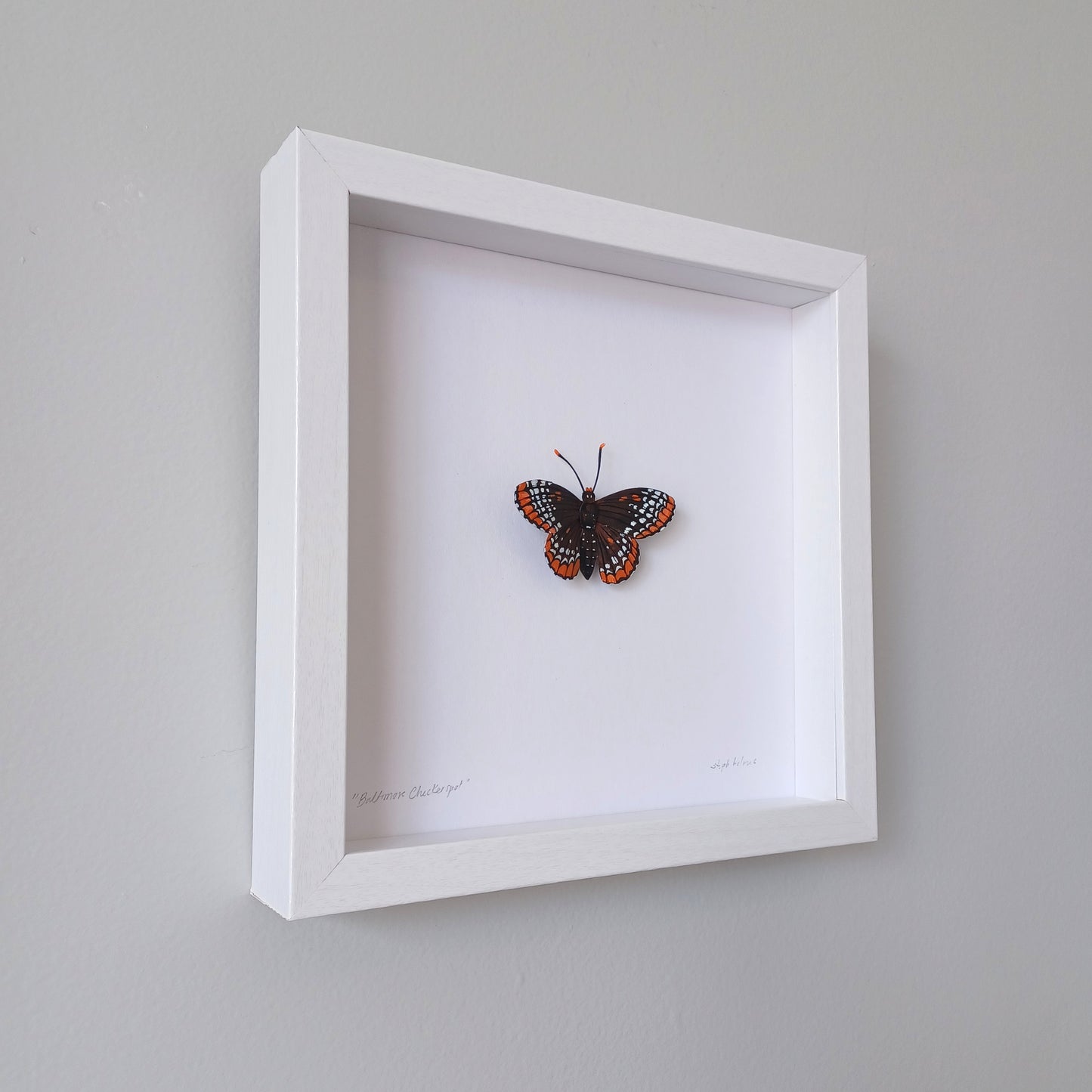 A baltimore checkerspot butterfly sculpture by artist Steph Holmes in a white shadowbox.