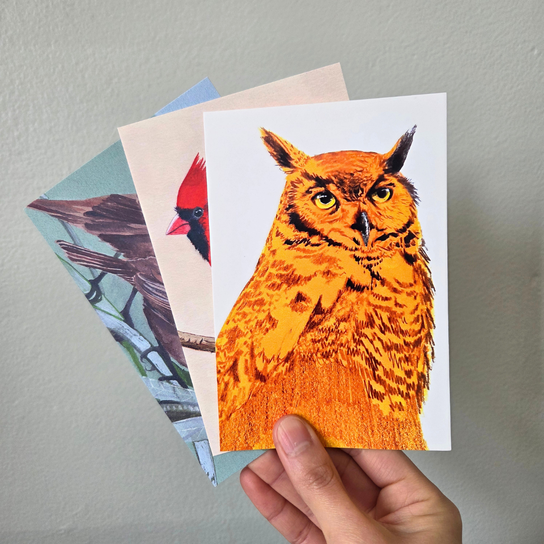 A hand holding an art print postcard set featuring an orange great horned owl.