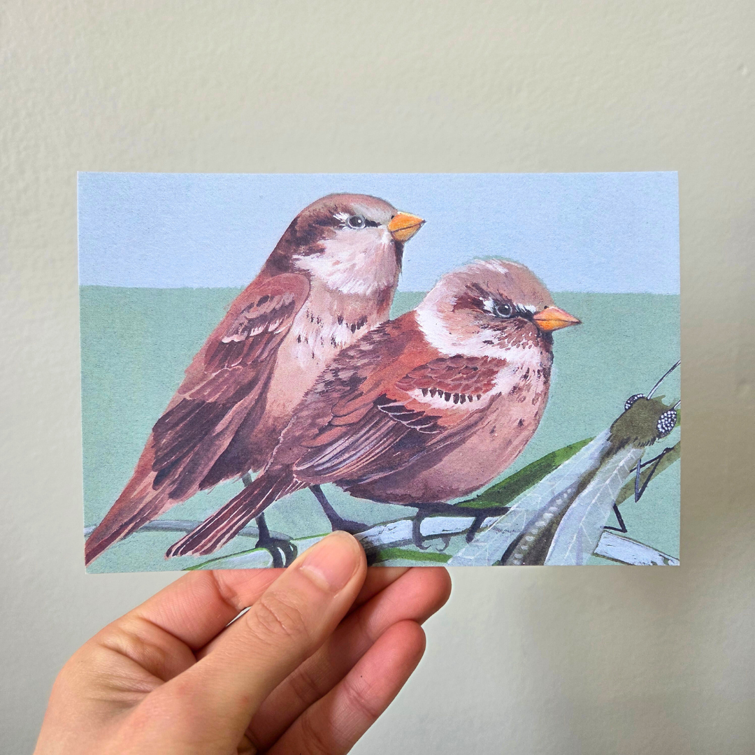 A hand holding an art print postcard featuring two house sparrows.