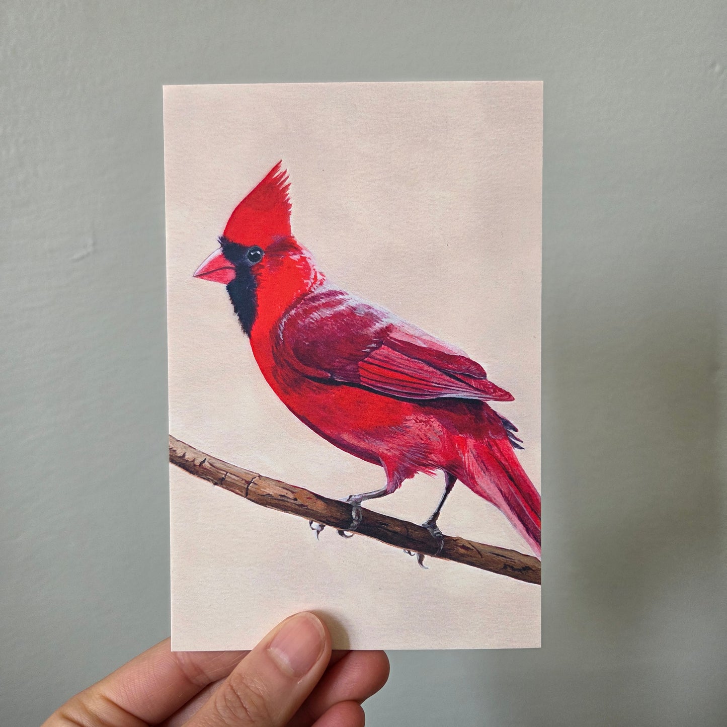 A hand holding an art print postcard featuring a northern cardinal.