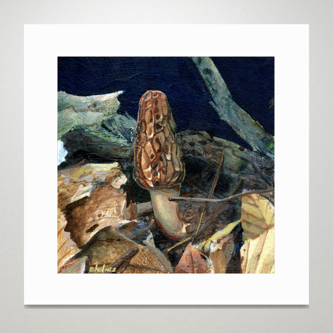 An art print featuring a black morel mushroom in a forest scene.
