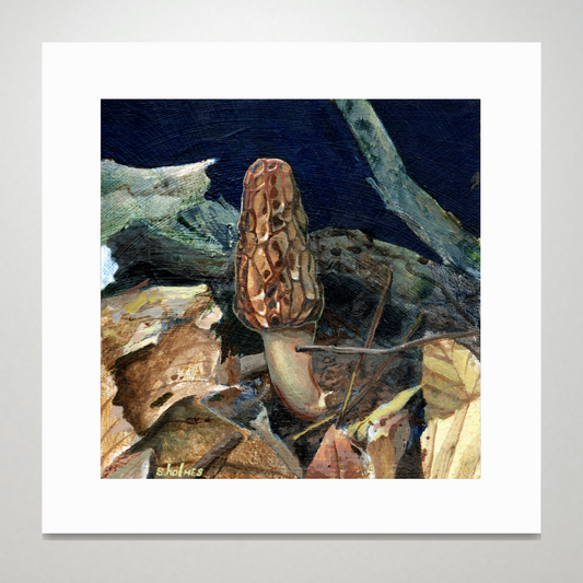 An art print featuring a black morel mushroom in a forest scene.