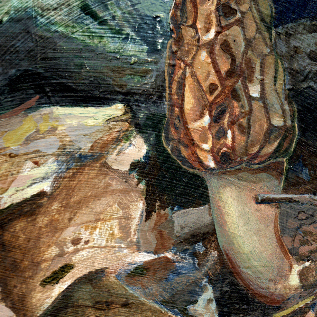 An art print featuring a black morel mushroom in a forest scene.