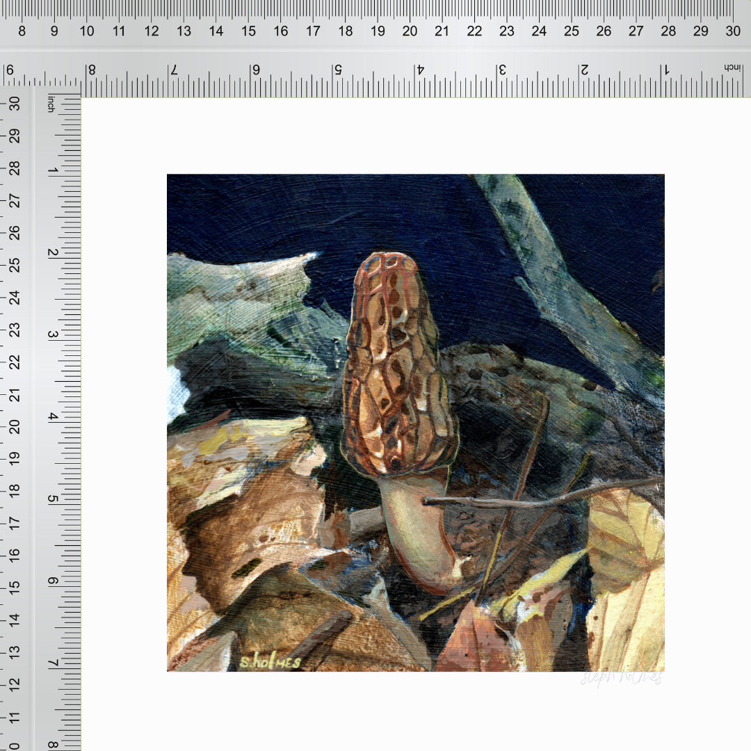 An art print featuring a black morel mushroom next to a ruler for measurement.
