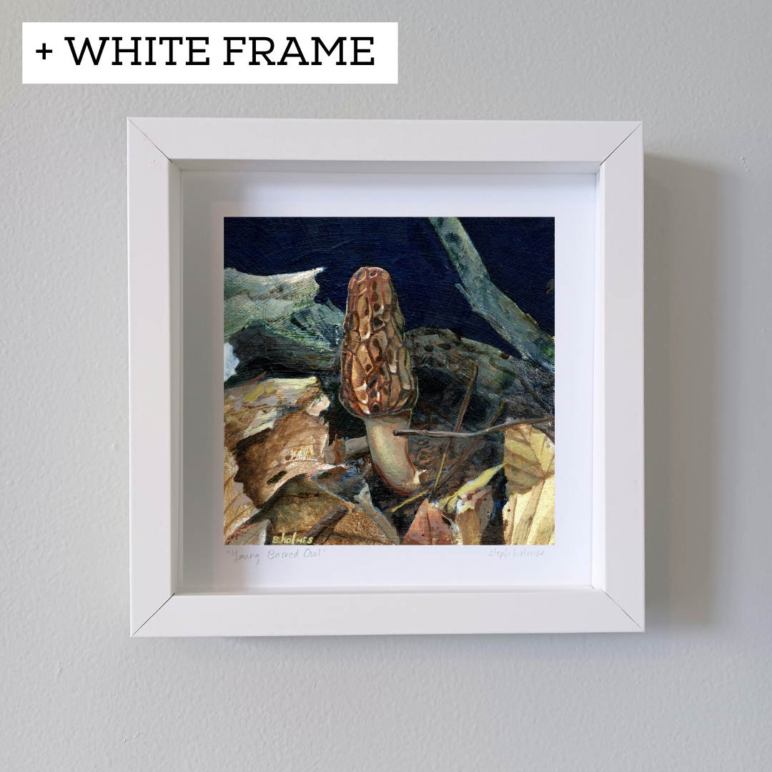 An art print featuring a black morel mushroom in a white frame on a white wall.