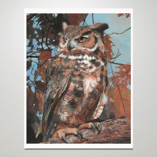 December in Great Horned Owl’s Tree print