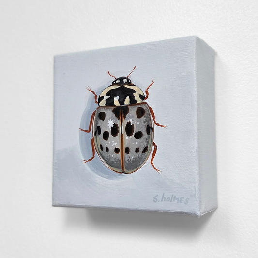 Painting of a ladybug on a white background