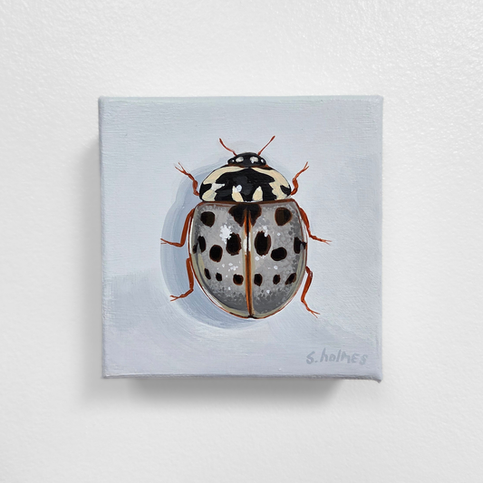 Painting of a ladybug on a light gray background