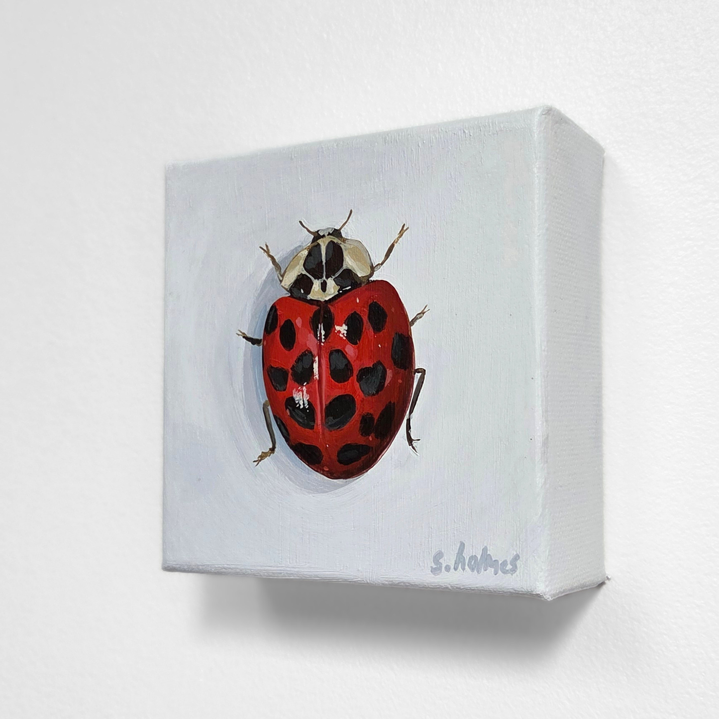 Painting of a ladybug on a white box with 's. holmes' signature.