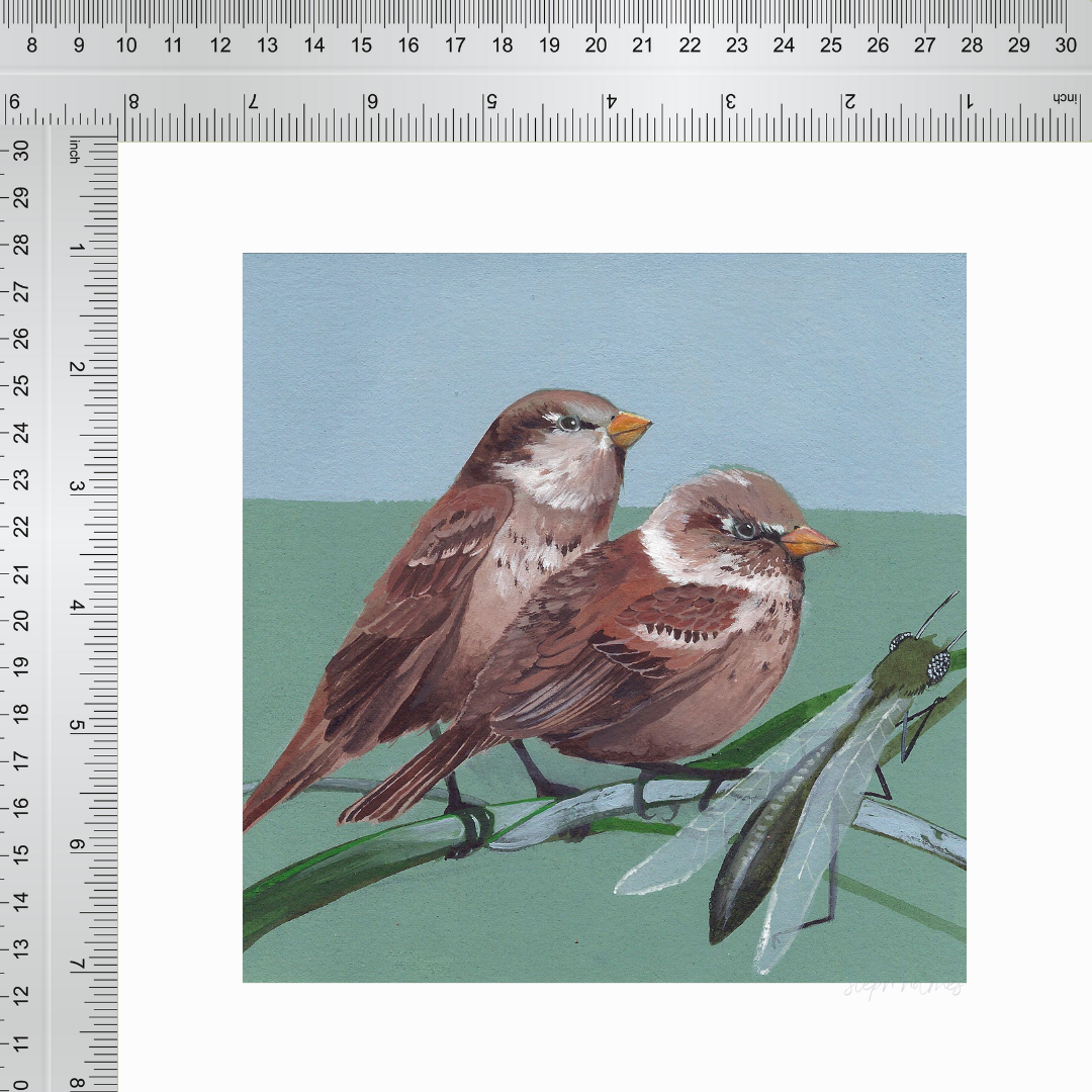 An art print featuring two house sparrows on a blue and green background next to a ruler for measurement.