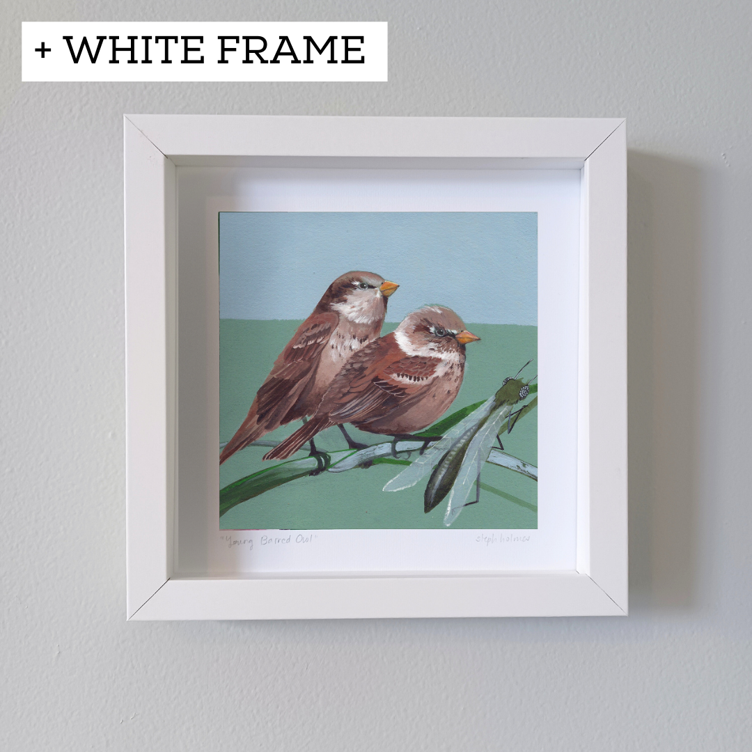 An art print featuring two house sparrows in a white frame.