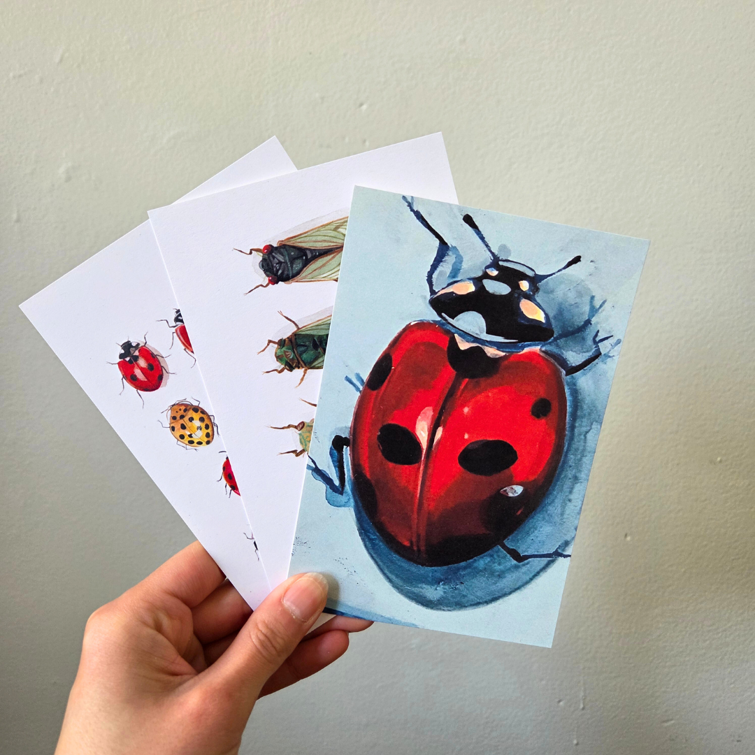 A hand holding an art print postcard set featuring a ladybug.