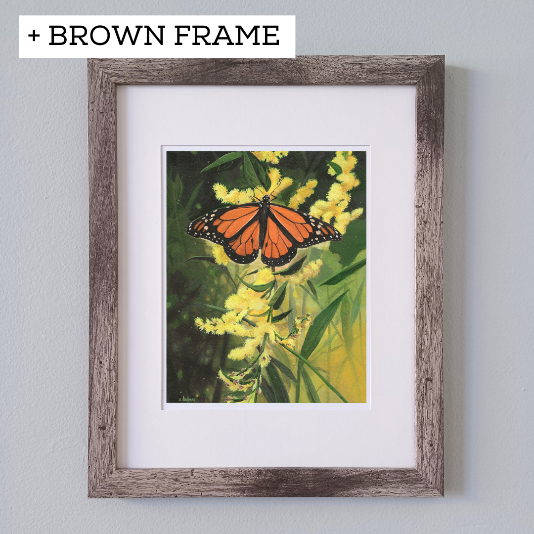 Monarch Butterfly in Goldenrod Fields print