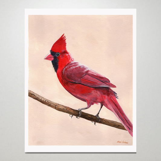 An art print featuring a bright red Northern Cardinal bird sitting in front of a tan background.