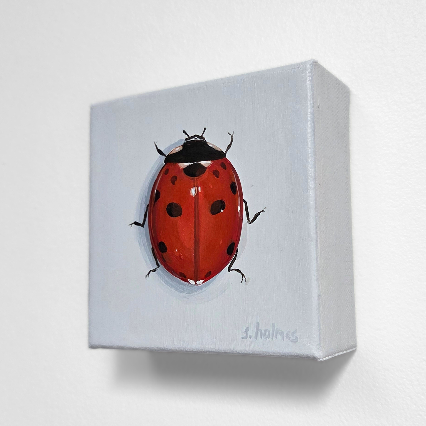 Painting of a red ladybug on a white box with a light gray background