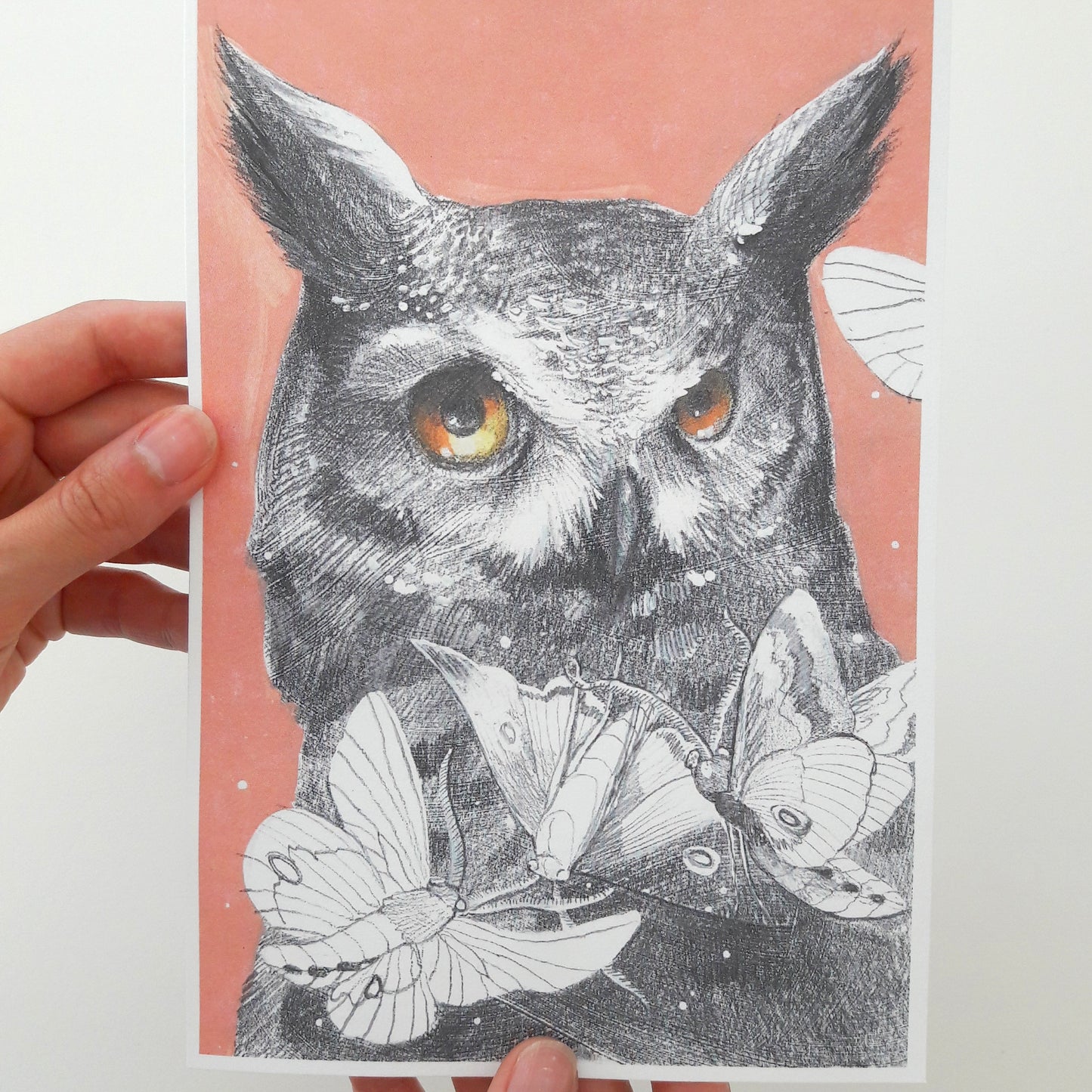 Dream Visitors: Owl and Moths print