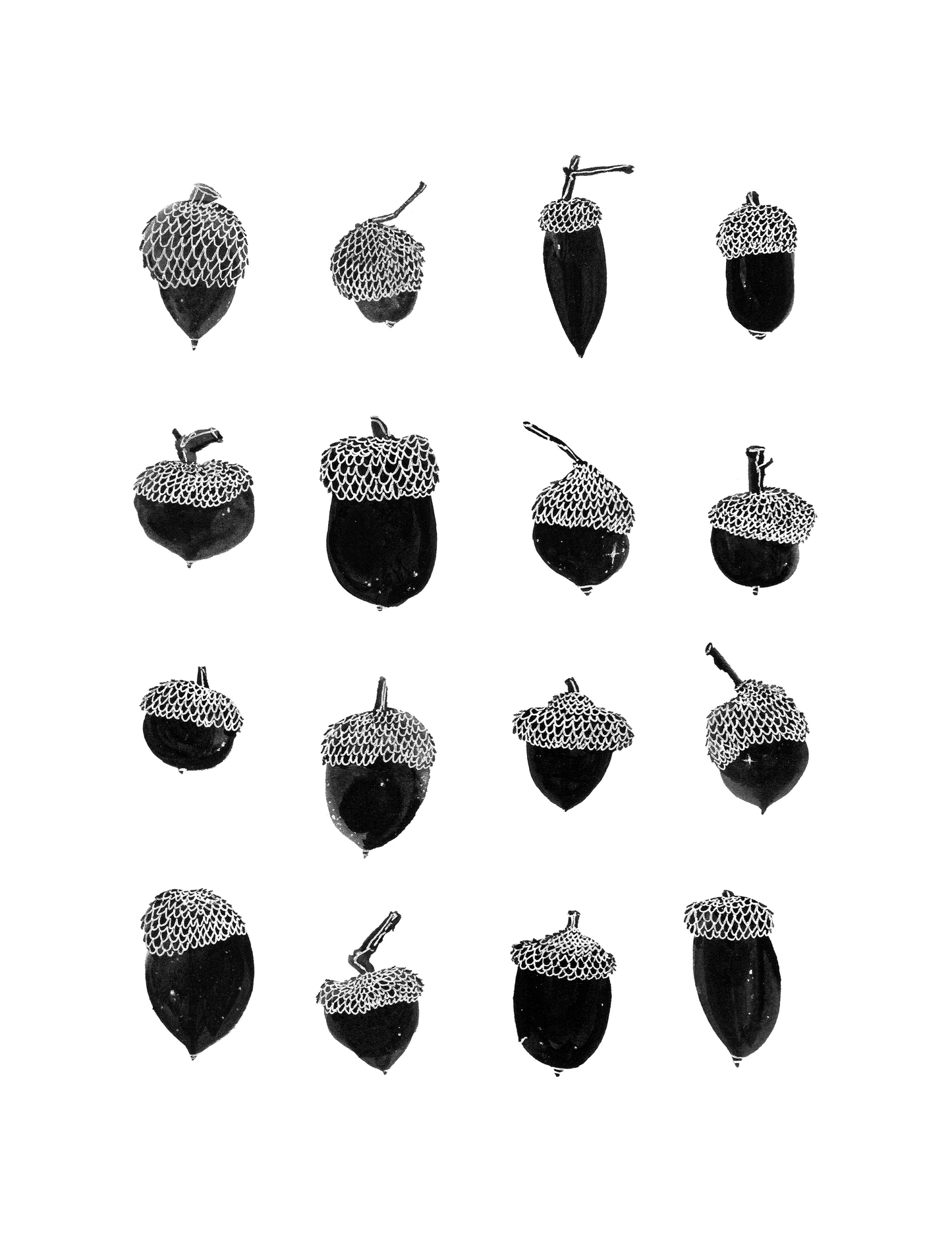 Lucky Acorn Collection print