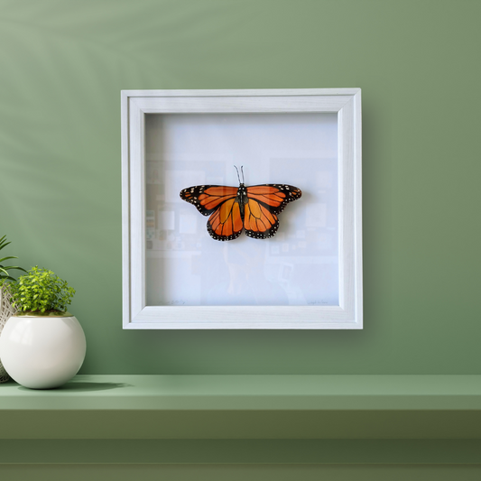 The Meaning Behind Monarch Butterflies