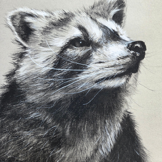 "Drawn to Nature" solo show at Gather 256, York, PA