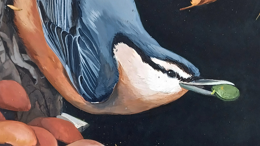 A cropped image of a painting by artist Steph Holmes. This painting features a nuthatch bird perched on the side of a tree with a green seed in its mouth.