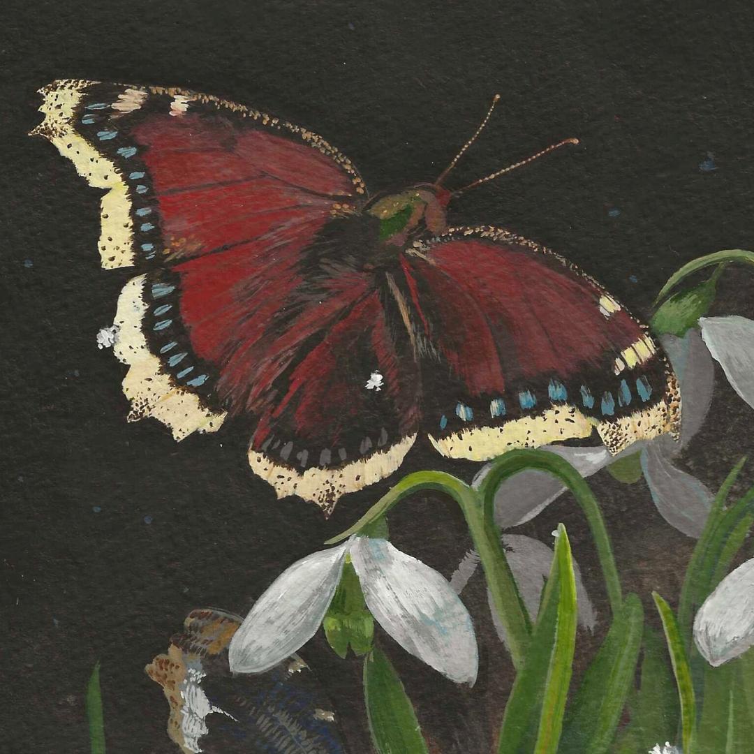 Snowdrops Greeting the Mourning Cloak Butterflies framed acrylic painting
