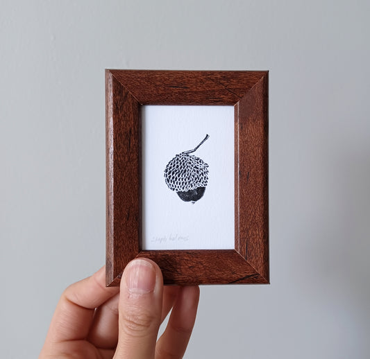 Lucky Acorn no. 101 framed print