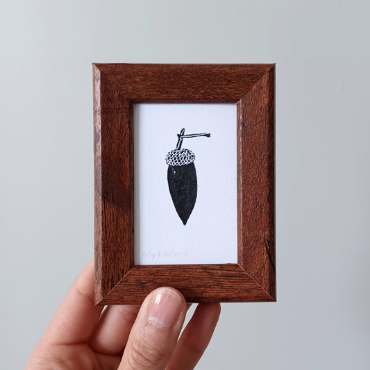 Lucky Acorn no. 103 framed print