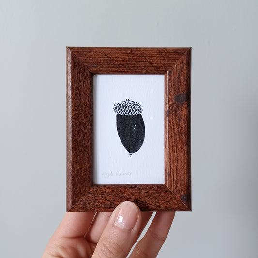 Lucky Acorn no. 106 framed print