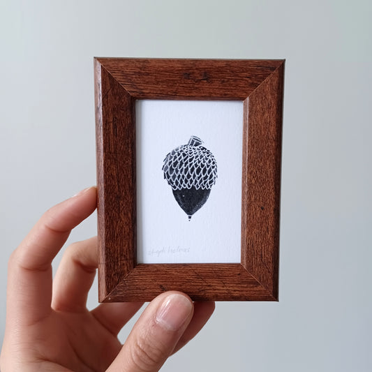Lucky Acorn no. 108 framed print