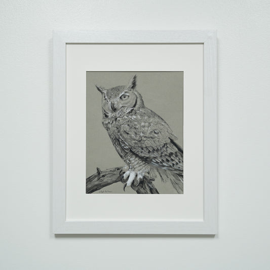 Great Horned Owl original charcoal drawing