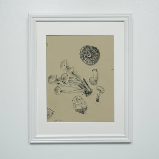 Mushroom Collection no.2 original charcoal drawing
