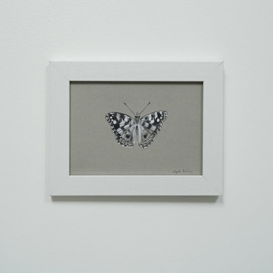 Painted Lady Butterfly no.2 original charcoal drawing
