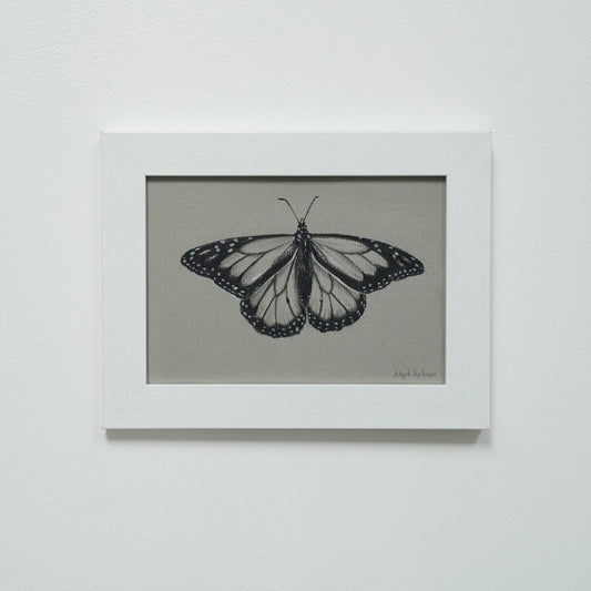 Monarch Butterfly no.15 original charcoal drawing